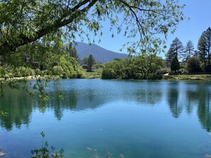 A serene lake surrounded by lush greenery and trees, with a clear view of the surrounding landscape. - Quail Run 4,000 Sq.Ft Largest and Most Beautiful Cabin On The Mountain (Pine Mountain Club)