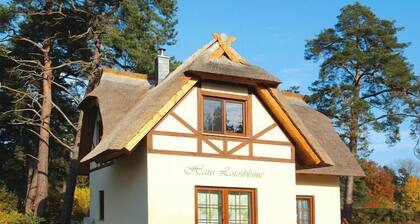 Ferienhaus Lotusblume in Zirchow