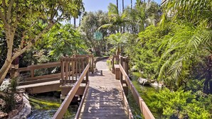 Uma ponte de madeira sobre um lago, cercada por vegetação exuberante e palmeiras.