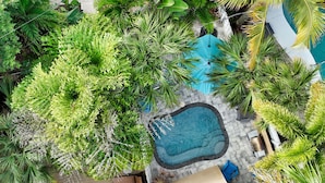 An aerial view of a pool surrounded by lush greenery and a stone pathway.