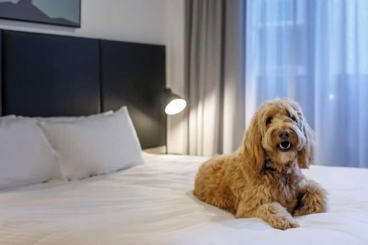 2 bedrooms, premium bedding, pillowtop beds, in-room safe