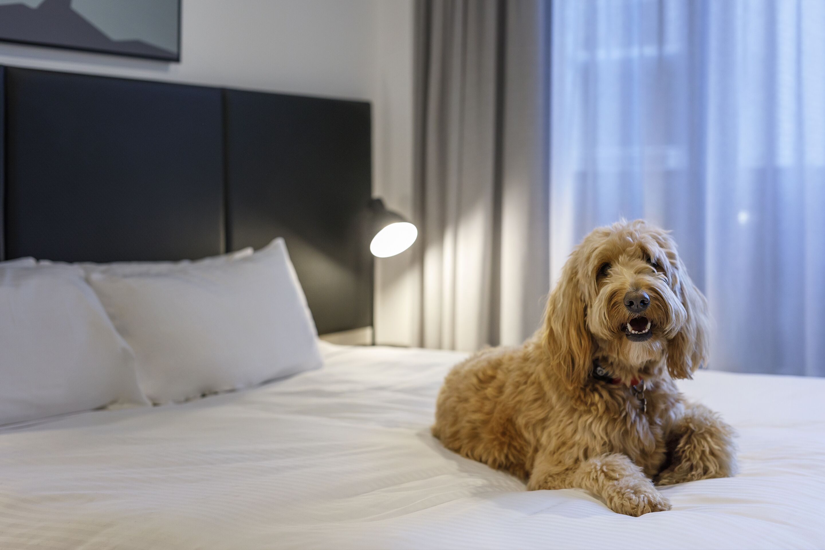 Quest Robina — image 18