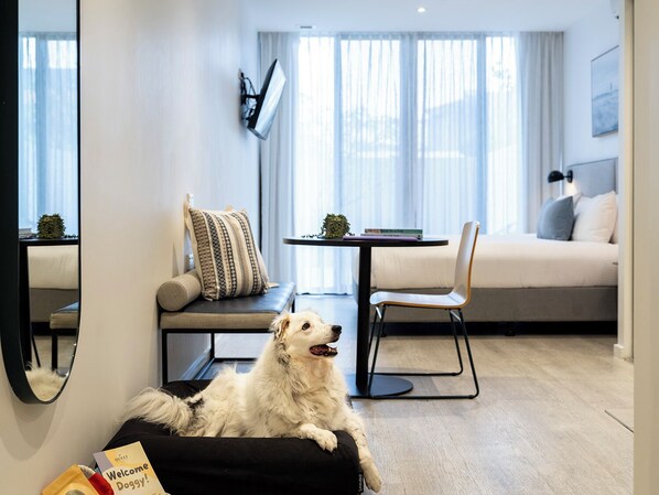 Una sala moderna con un sofá, una mesa de comedor, una silla y un perro descansando en una cama negra para mascotas.