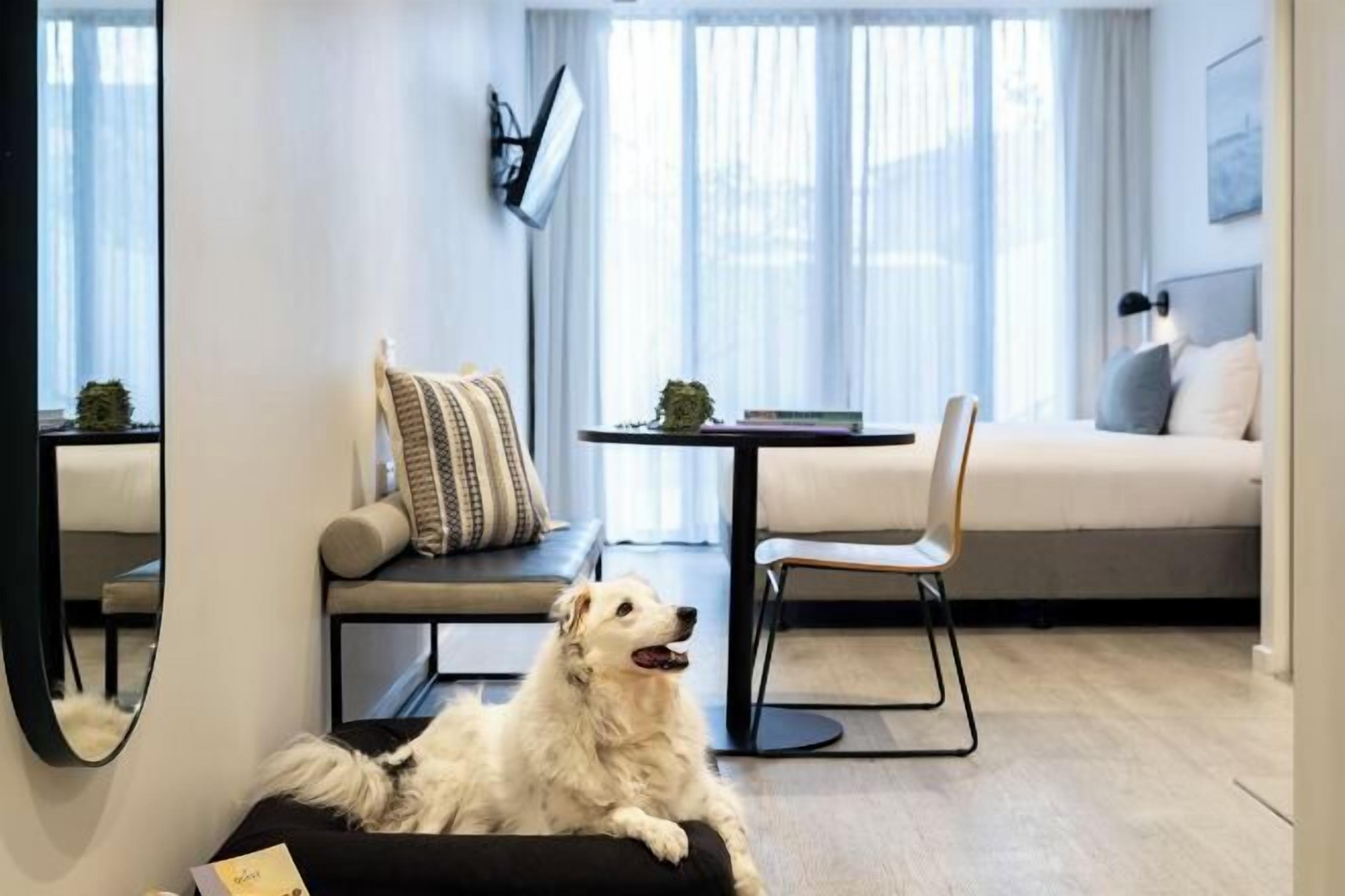 Premium-sengetøj, senge med topmadrasser, pengeskab på værelset