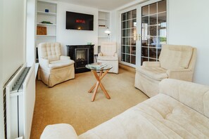 Smart TV, fireplace, books