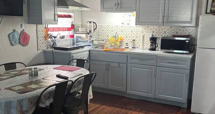 Salt Pool, cozy House near Downtown and International Airport