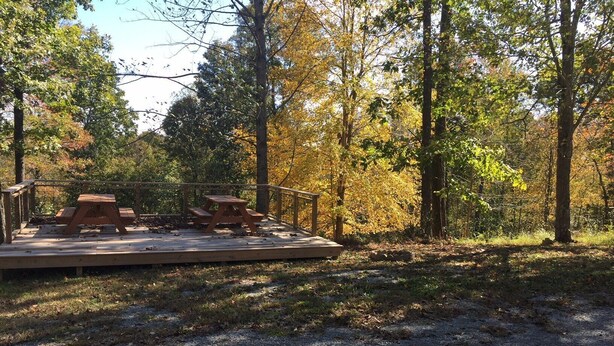 A picnic area with a wooden deck and picnic table surrounded by trees.