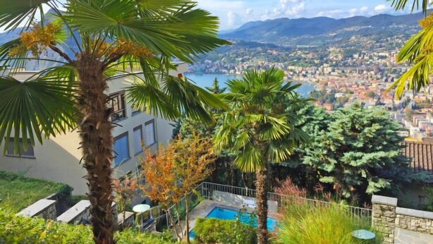 Zona residencial con piscina, palmeras y vistas a una ciudad y montañas.