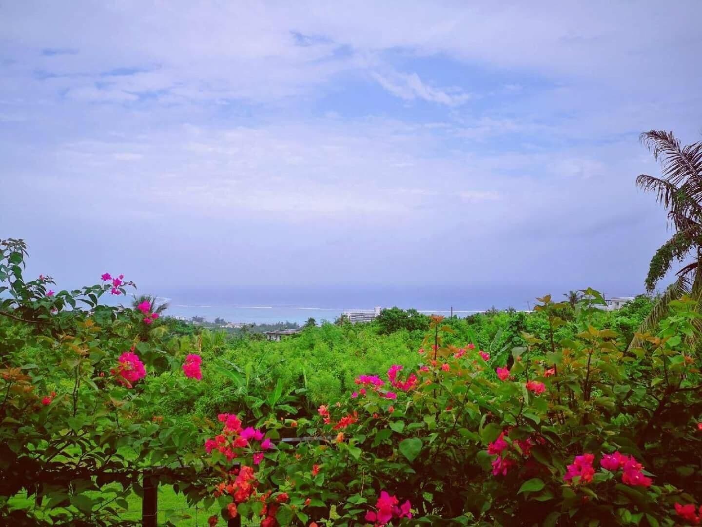 Saipan Skyline Designers Hotel Expedia提供写真