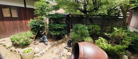 A garden with a large pot, rocks, and various plants.