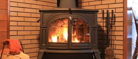 A wood-burning stove with a glass front, set against a brick wall.