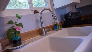 A kitchen with a white sink, a window above it, and a plant on the counter.