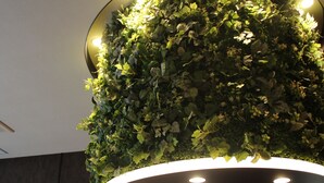A circular ceiling light fixture with a ring of recessed lighting and a lush green plant wall. - Hotel Halrotto Fukuoka Hakata (Fukuoka)