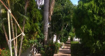 MAGNIFIQUE. MAISON LE. ĂTĂ