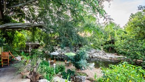 A serene garden with a pond, seating area, and potted plants. - Ozone Hotel Khao Yai (Pak Chong)