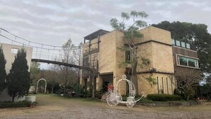 A building with a stone facade, a covered walkway, and a decorative white carriage. - Water Tail Homestay (Puli)