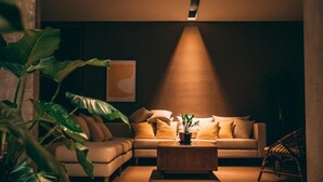 Un saló modern amb un sofà, una taula de centre i una planta en test.