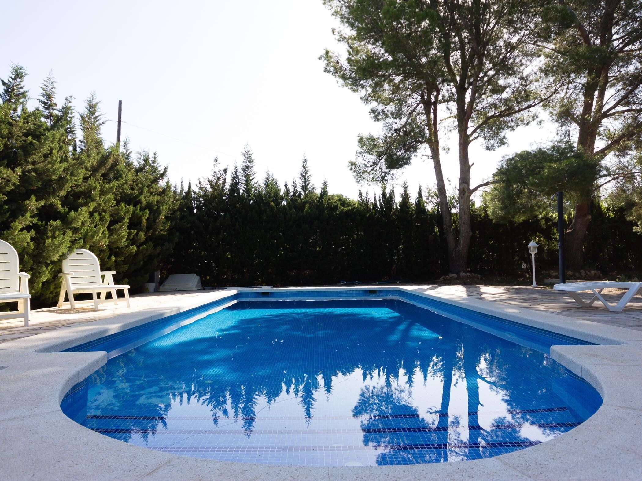 Une piscine dont le bord est revêtu de carrelage, entourée d’arbres et de chaises longues blanches.