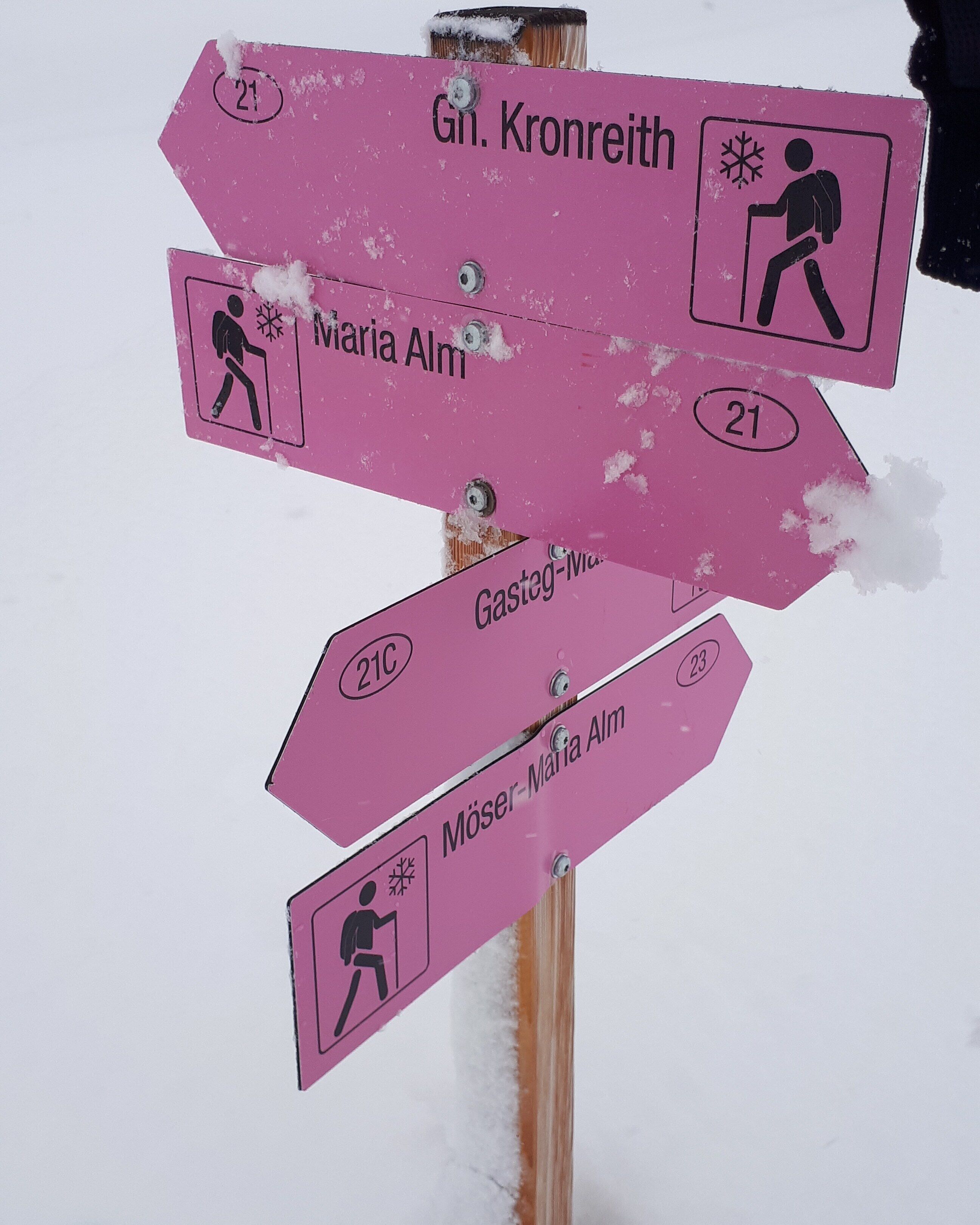 Un poste indicador rosa con varias flechas que apuntan en diferentes direcciones, cada una con un nombre y un número.