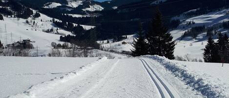 A snow-covered road with tire tracks, surrounded by forested hills and a clear blue sky.