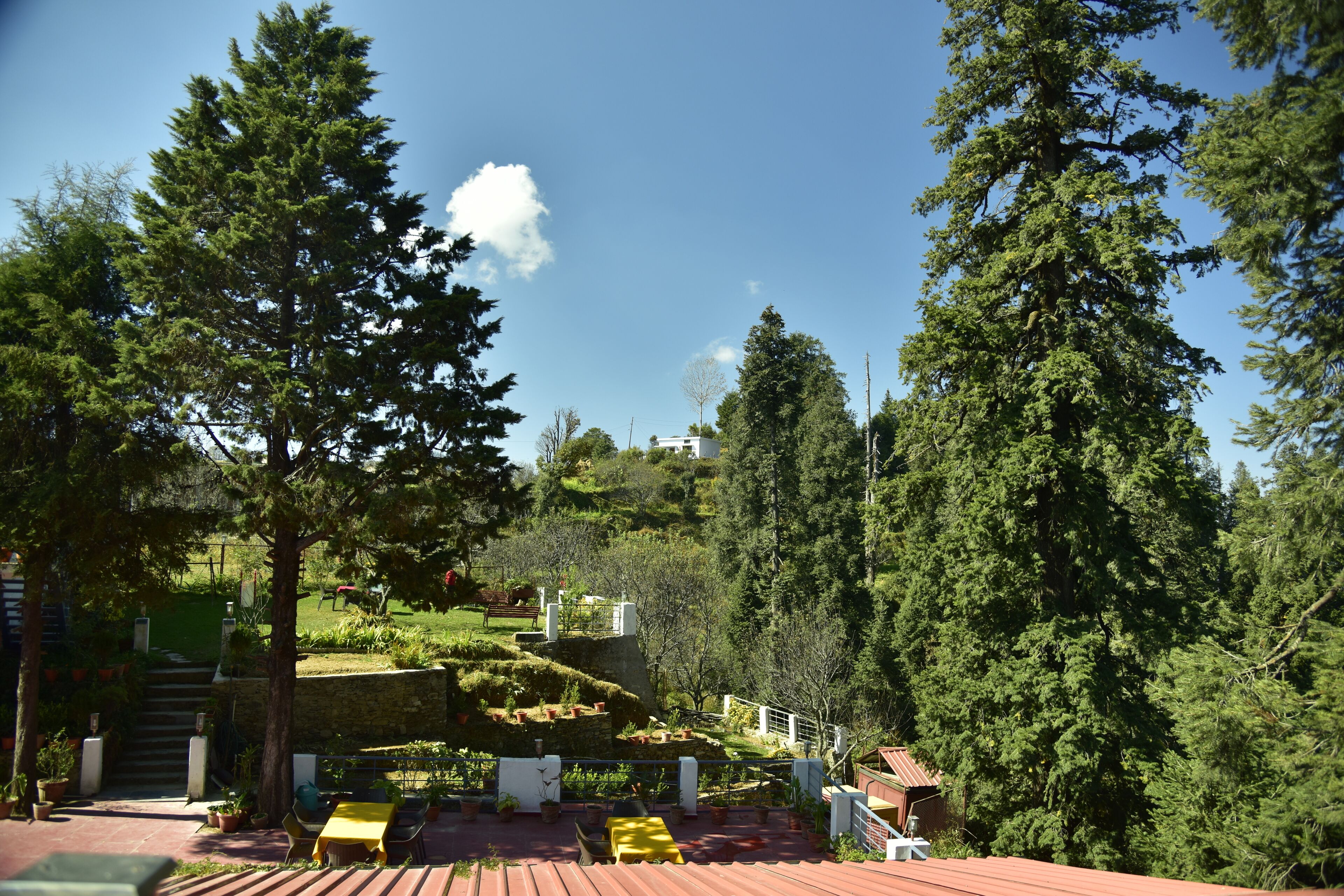 Eine Terrasse mit Sitzgelegenheiten im Freien, umgeben von Bäumen und einer Aussicht auf eine Hügellandschaft.