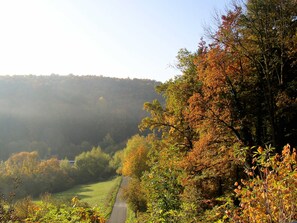 Photo non classée, 2 sur 13, bouton