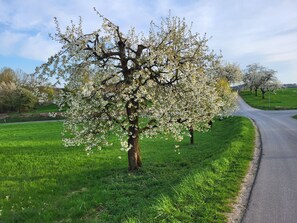 Miscellaneous - Double room with balcony (shared shower / WC) - Gästehaus Grau (Egloffstein)