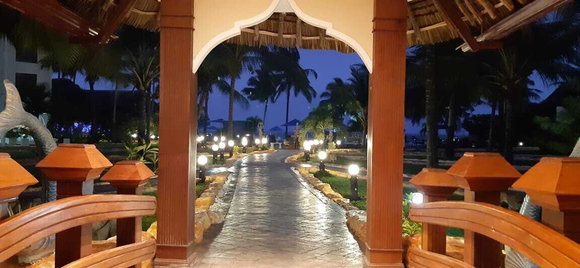 A pathway with a thatched roof structure, palm trees, and illuminated lights.