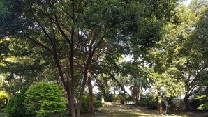 A park with a paved walkway, a wooden bench, and various trees. - Downshifted House (Miaoli)