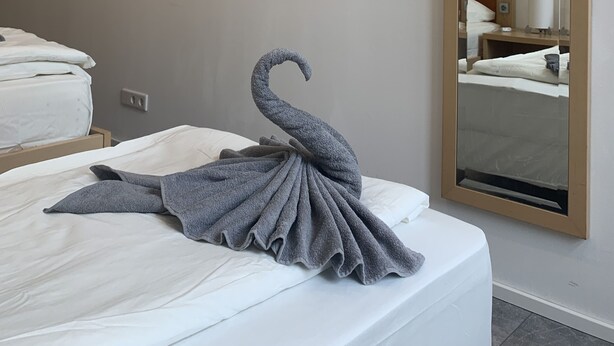 Ein Hotelzimmer mit einem ordentlich bezogenen Bett, einem großen Spiegel und einem Handtuch, das zu einer Schwanzform auf dem Bett geformt ist.