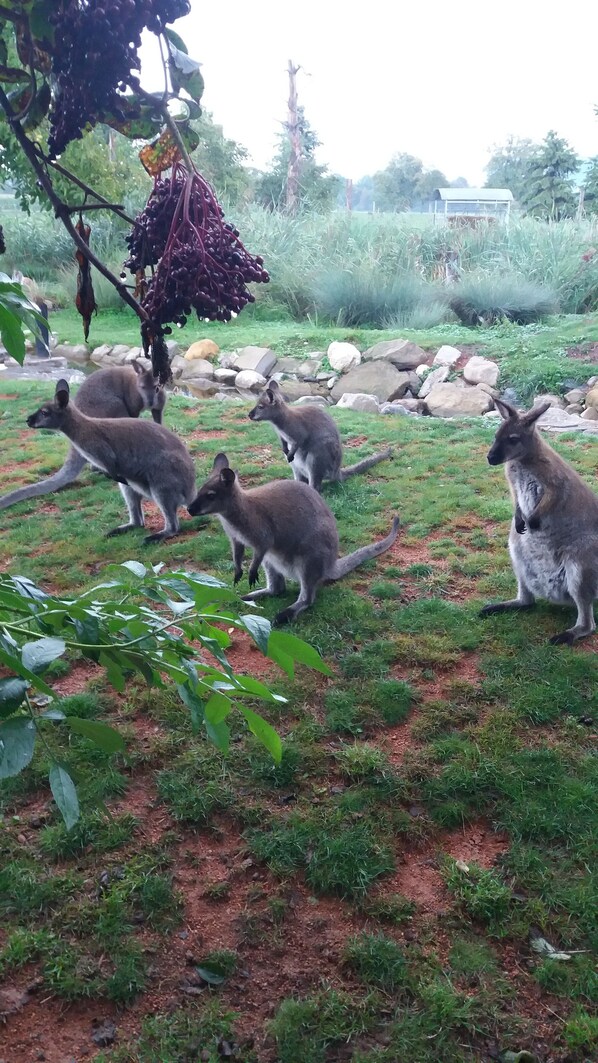 บริเวณภายนอก