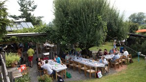 An outdoor dining area with multiple tables and chairs, surrounded by greenery and trees. - Steigmatt Bauernhof - Erlebnis (Oberriet)