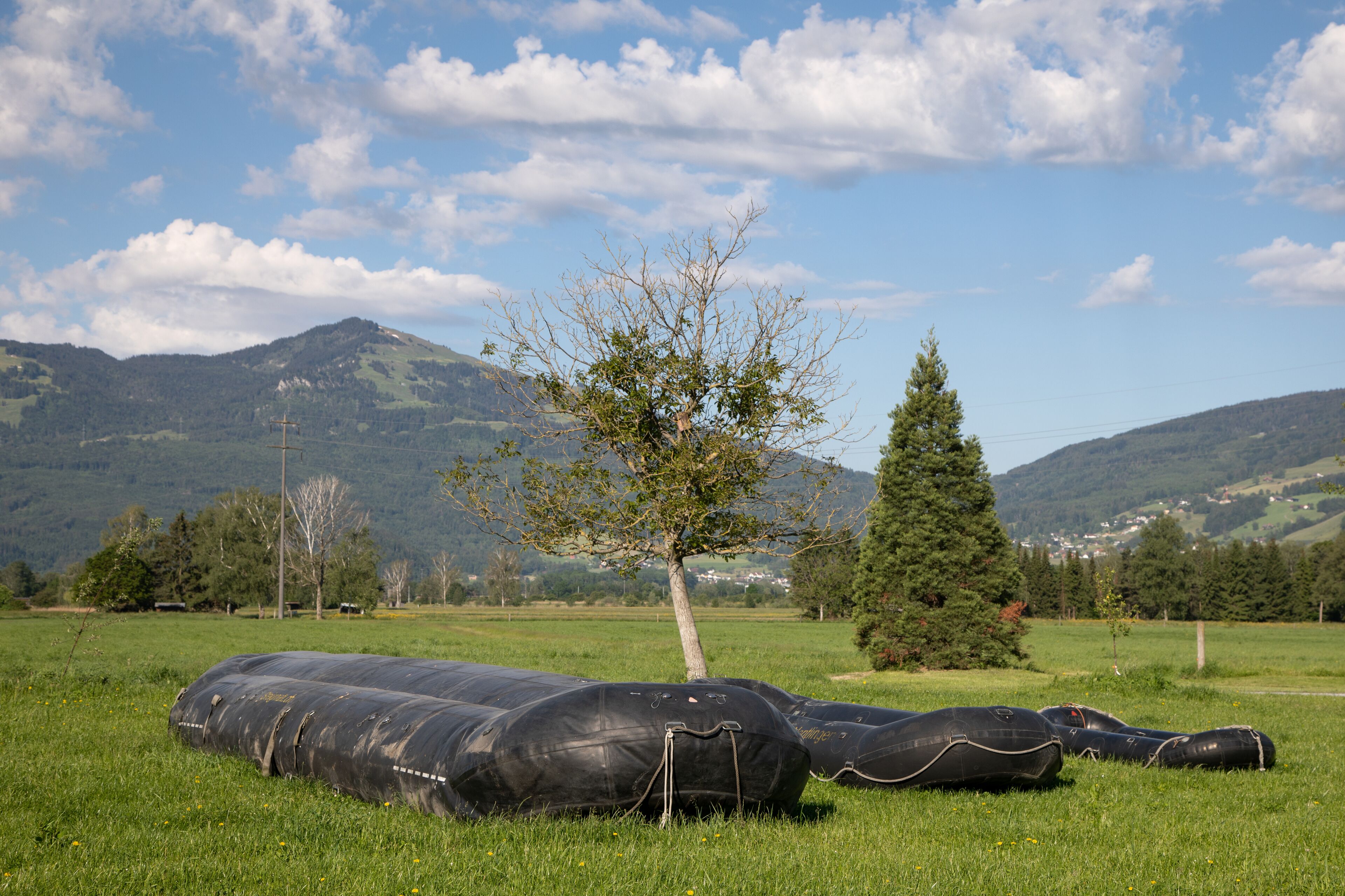 A grassy field with large black cylindrical objects and a tree in the center.