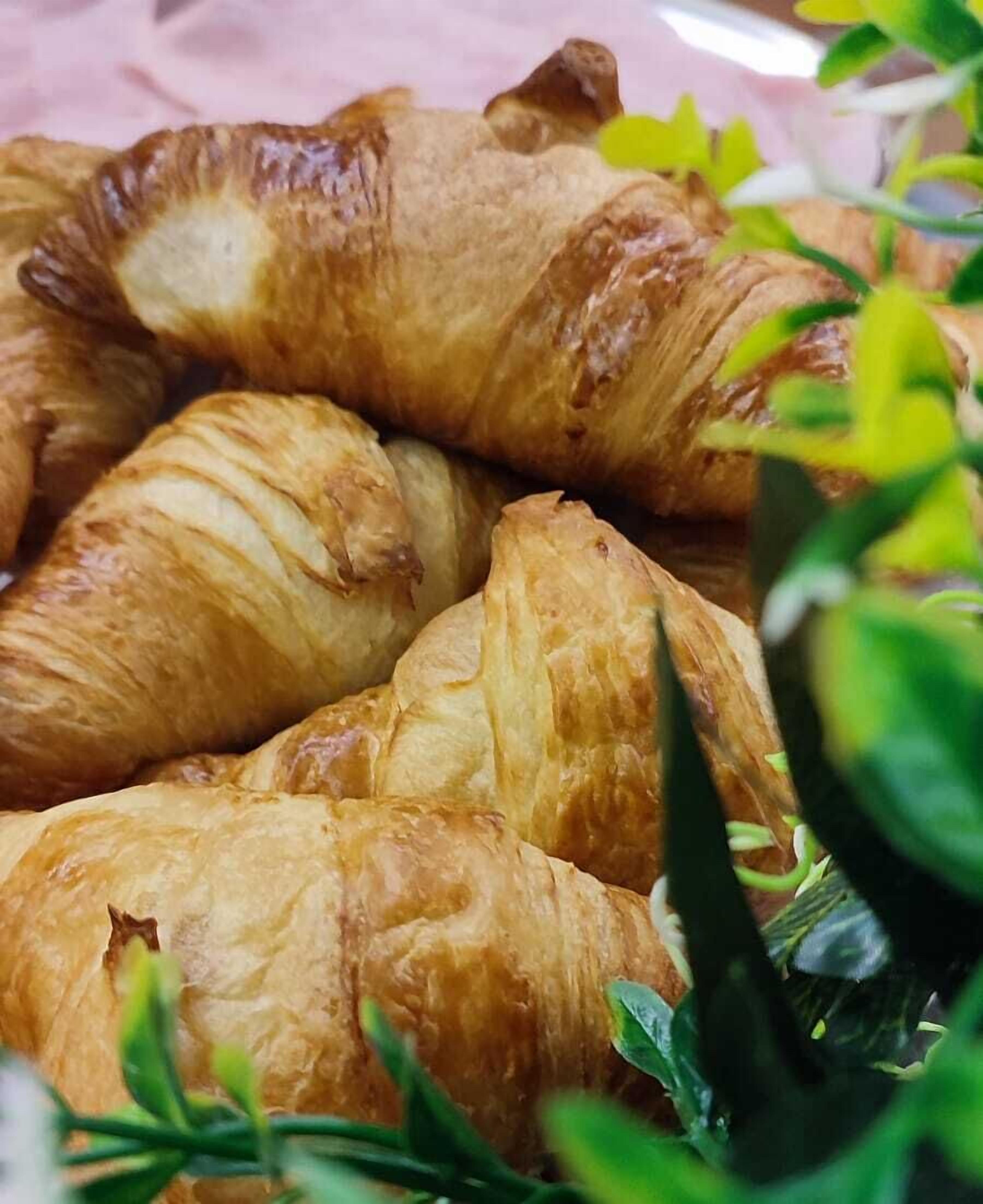 Photo - Hotel Ransol