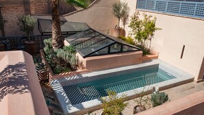 Piscina en la azotea con cerramiento de vidrio, rodeada de plantas en macetas y una palmera.
