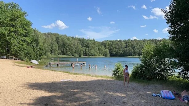 A beach with a lake, trees, and a dock.