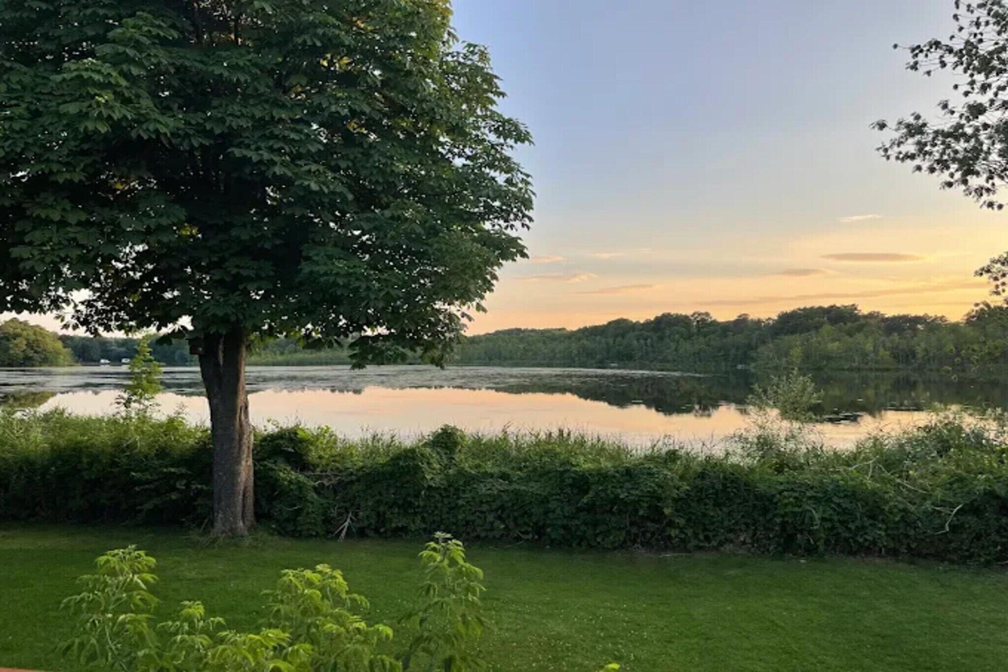 A serene lakeside view with a large tree in the foreground, calm water, and a distant treeline under a clear sky.