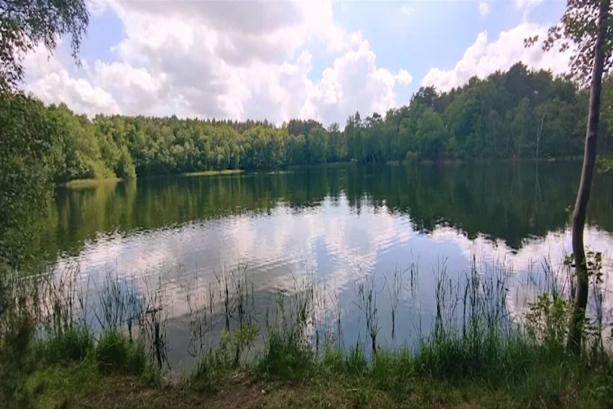 Surroundings [summer] (1-5 km)