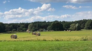 A rural landscape with hay bales in a field, a forest in the background, and a partly cloudy sky.