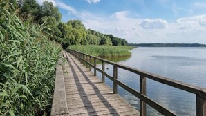 A wooden boardwalk along a calm lake with dense greenery on one side and a clear sky above.
