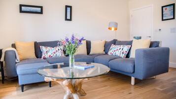 TV layar datar dan perapian