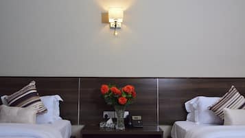 Standard Twin Room | Minibar, in-room safe, desk, laptop workspace