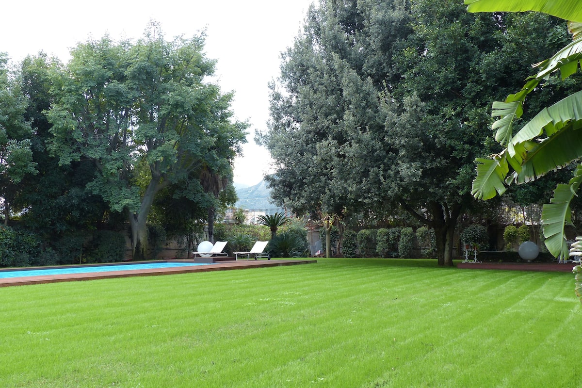 A well-maintained lawn with a swimming pool, surrounded by dense trees and a clear view of the mountains in the distance.