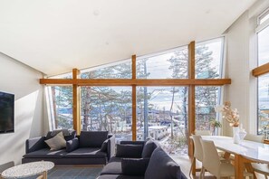65-inch flat-screen TV with digital channels, TV, Netflix - Alpinarc Chalet HAKUBA (Hakuba)