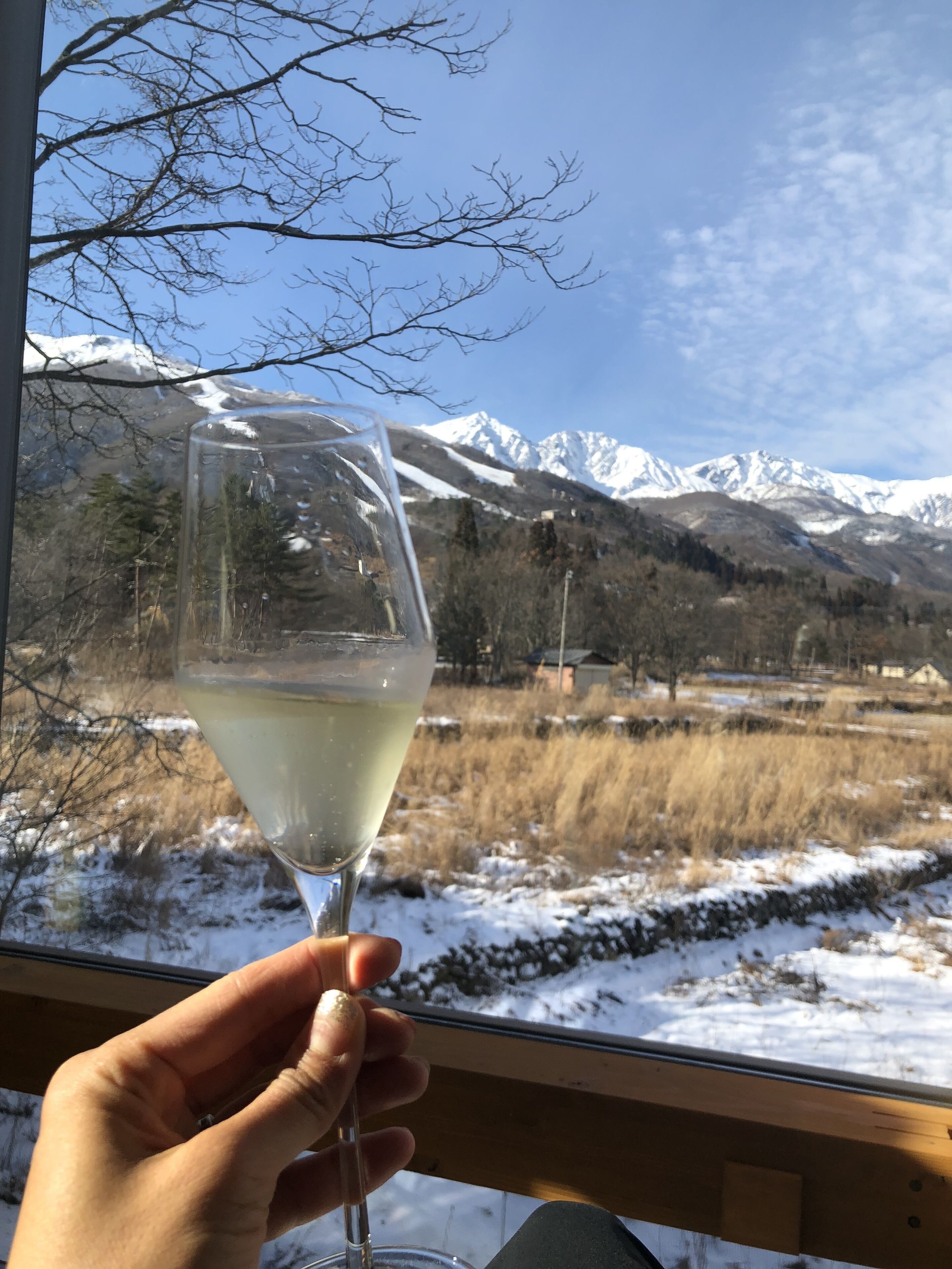 A hand holding a wine glass with a snowy mountain landscape in the background.