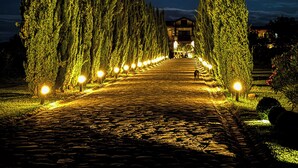 Un sendero nocturno bordeado por árboles altos e iluminados que conduce a un edificio.