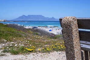 ใกล้ชายหาด