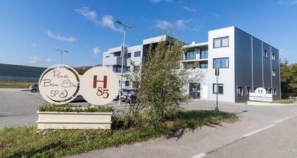 Le H85