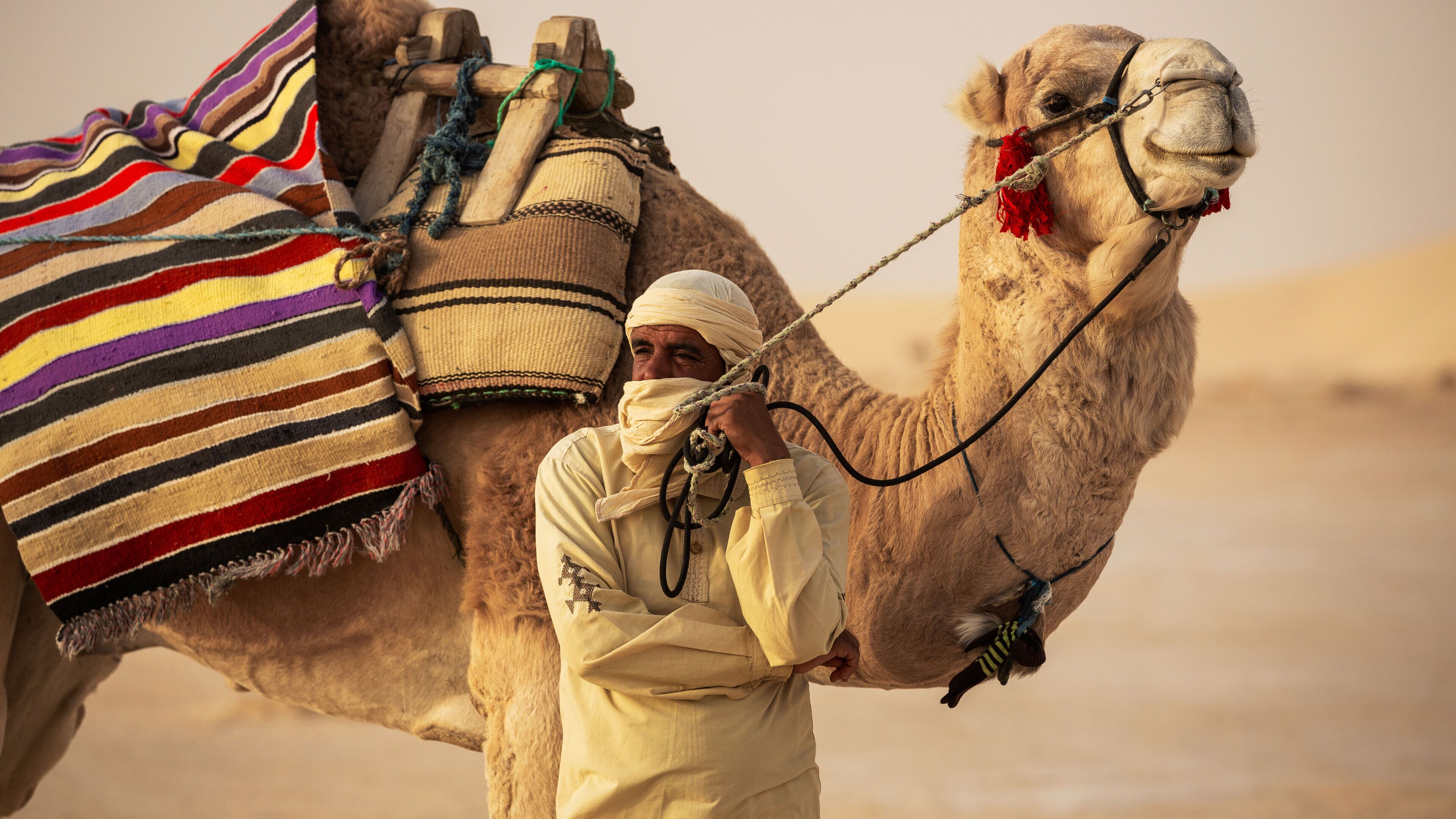 A man leading a camel in a desert environment.