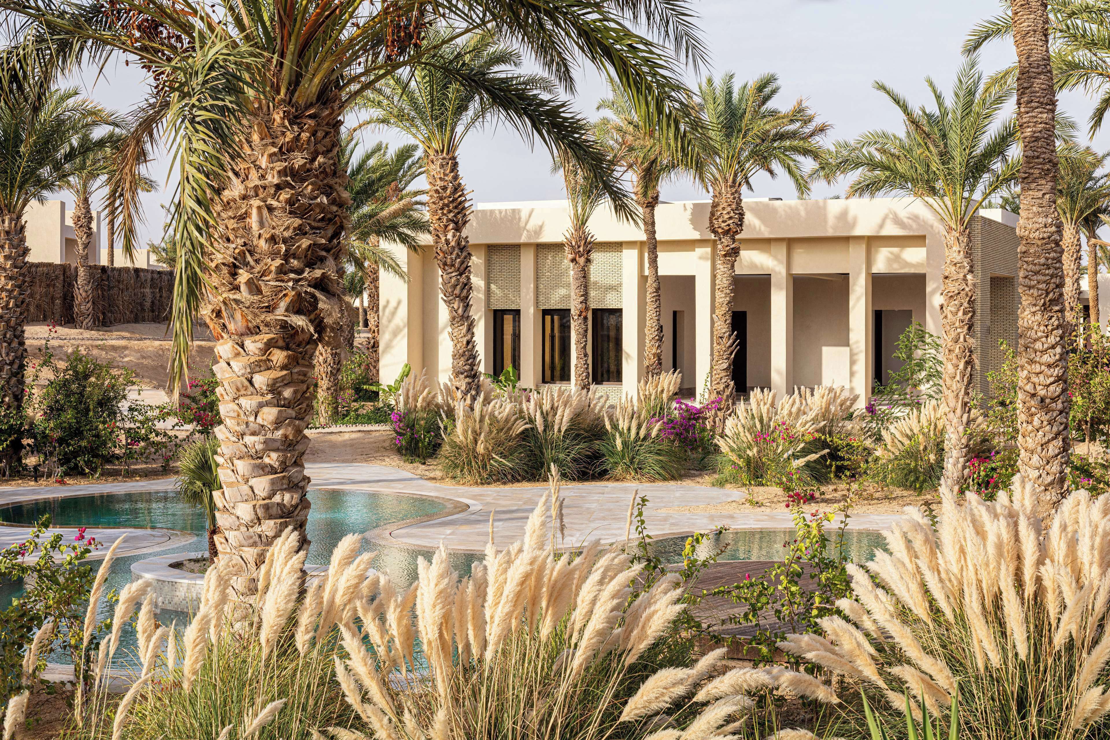 A pool area with palm trees and pampas grass, surrounded by a building with columns and a pool.